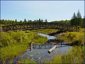 Cap Creek Bridge